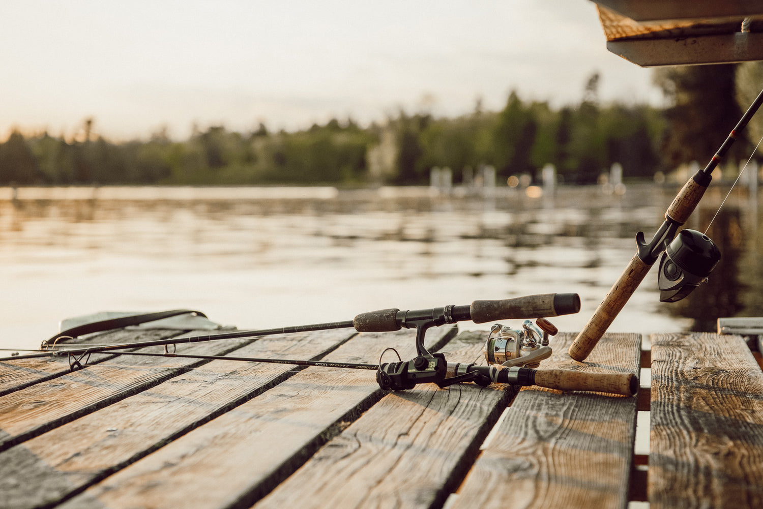 fishing rods on dock